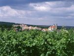 Valtice - pohled na město přes vinice
