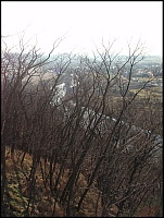 Výhled na řeku Jihlavu