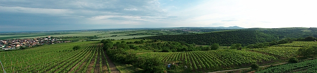 Kraví hora u Bořetic - panorama
