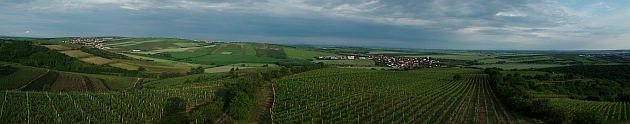 Kraví hora u Bořetic - panorama