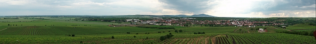 Slunečná u Velkých Pavlovic - panorama