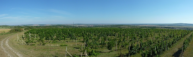 Vyhlídka u Obrázku u Staroviček - panorama