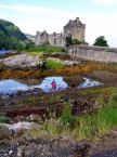 Eilean Donan Castle - v popøedí fialový náprstník