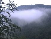 Geravy - mlha v údolí